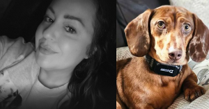 SHE GAVE HER LIFE, DEFENDING HER BELOVED DOG FROM A STRAY DOG.