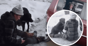 THE DOG SAT BESIDE REBECCA AS SHE CRIED, WHILE RENEE NICOLE GOOD’S CHILD WAITED FOR HER RETURN