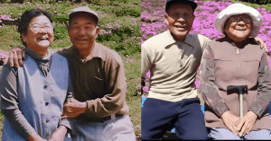 A HUSBAND PLANTED THOUSANDS OF SCENTED FLOWERS TO KEEP HIS BLIND WIFE SMILING.