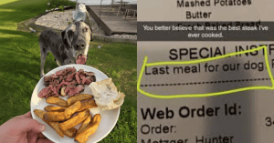 A MAN ORDERED HIS DOG'S FINAL MEAL, AND THE RESTAURANT'S RESPONSE WAS DIFFERENT
