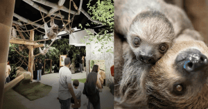 THE WORLD’S FIRST SLOTHARIUM